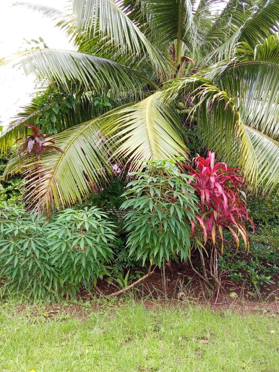 Ravehei Smile Relais 3 Huahine Hostel Haapu Exterior photo