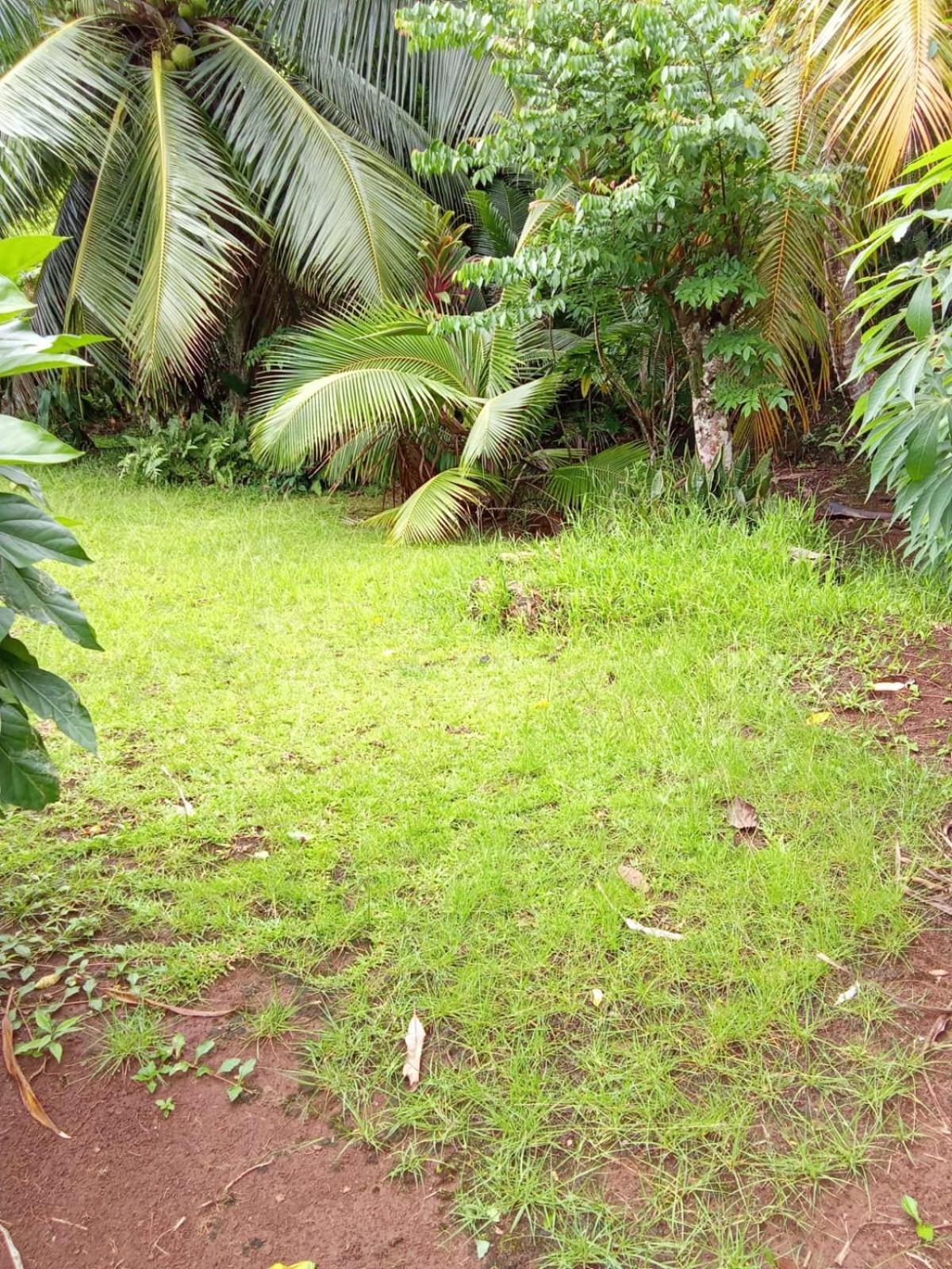 Ravehei Smile Relais 3 Huahine Hostel Haapu Exterior photo