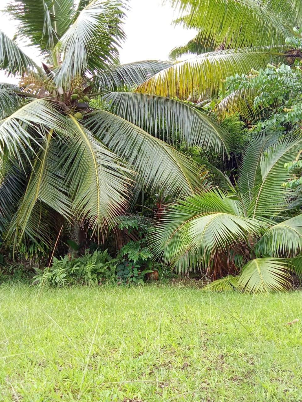 Ravehei Smile Relais 3 Huahine Hostel Haapu Exterior photo